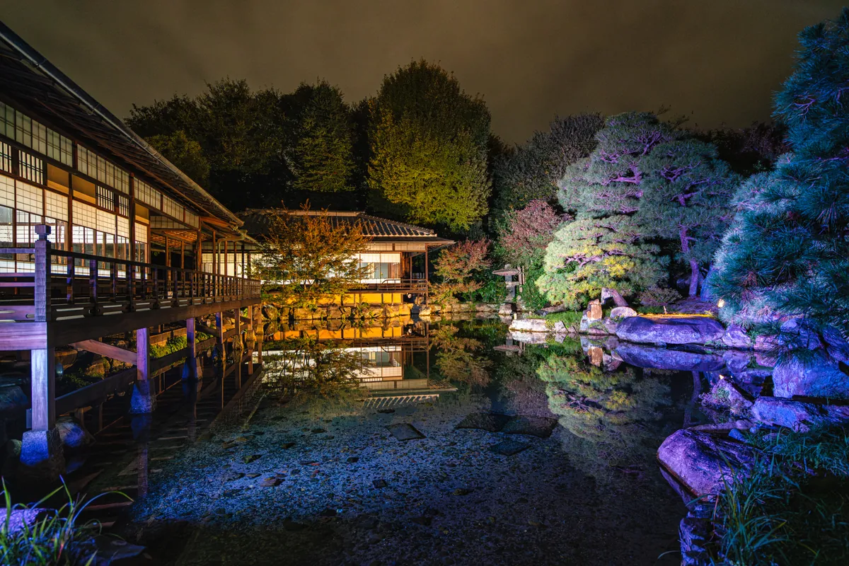 夜間特別拝観でライトアップされた京都の日本庭園 / A Kyoto garden illuminated during an evening autumn viewing