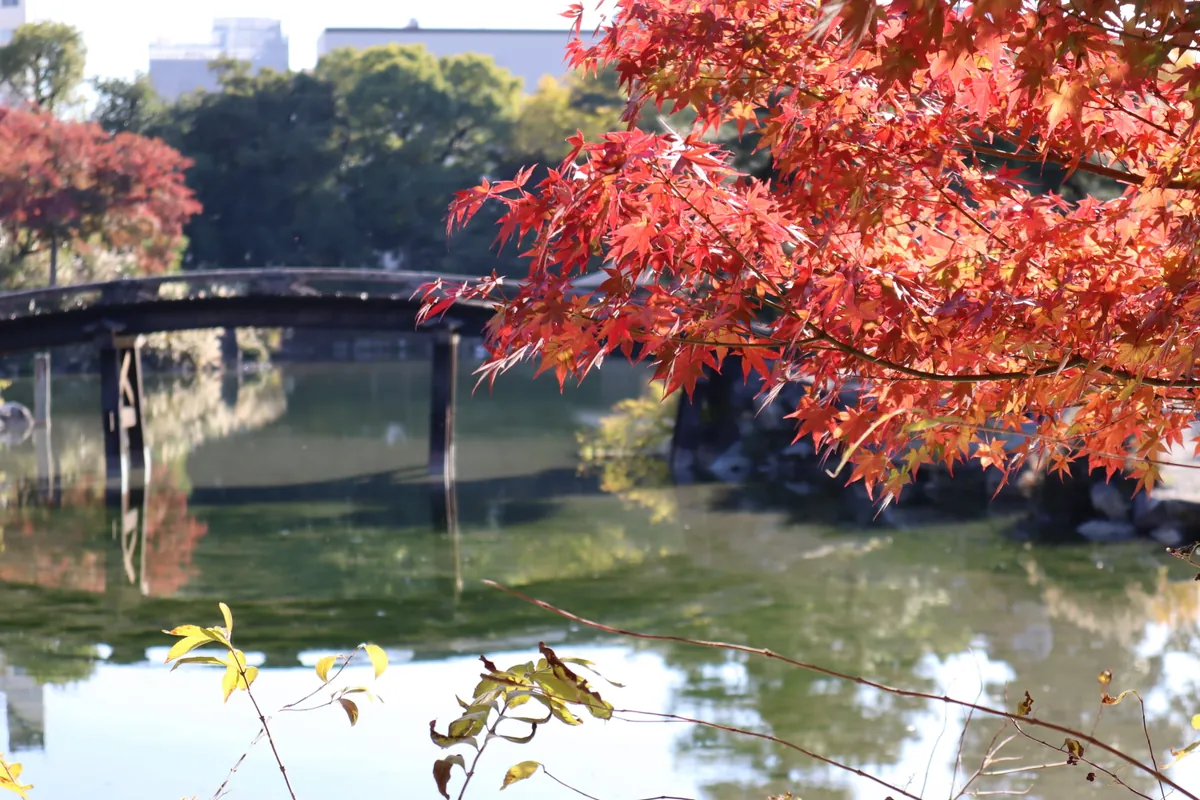 渉成園の池に映る紅葉と土橋 / Autumn maples and an earthen bridge reflected in the pond at Shosei-en Garden in Kyoto