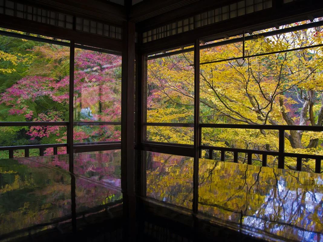 瑠璃光院の書院の机に映る紅葉